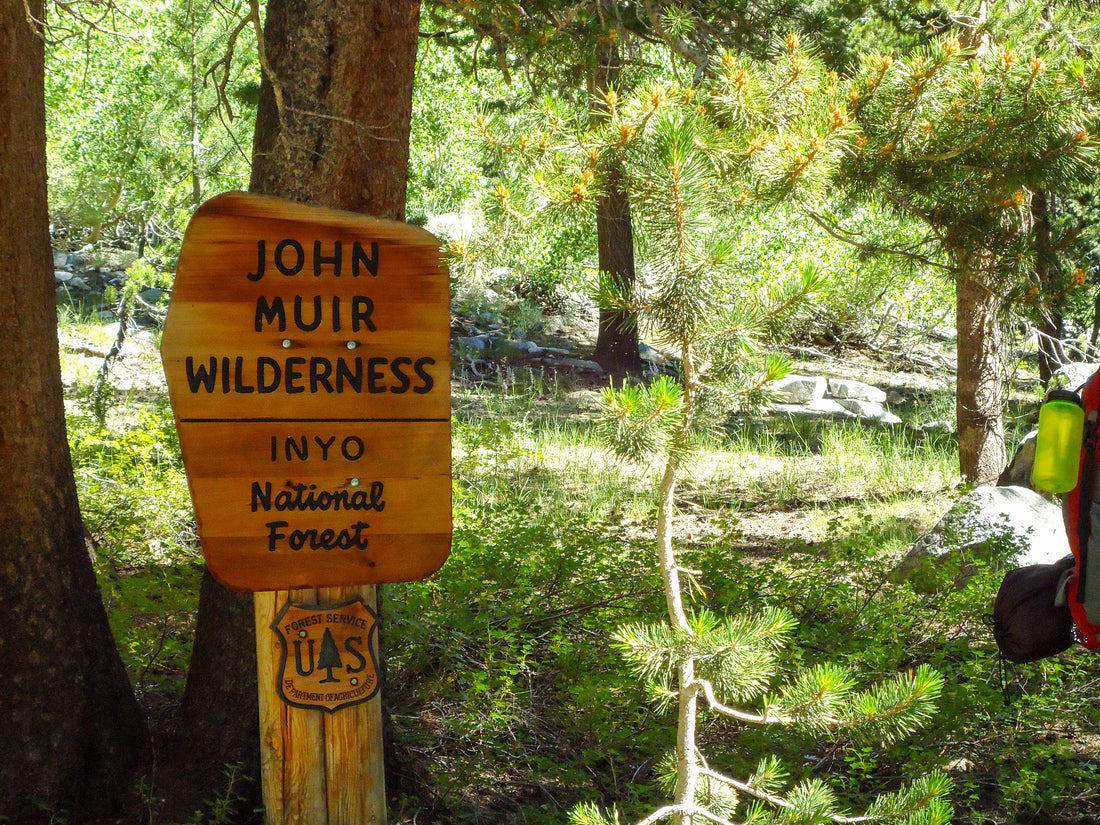 Sign at the entrance to the John Muir Wilderness, Inyo National Forest