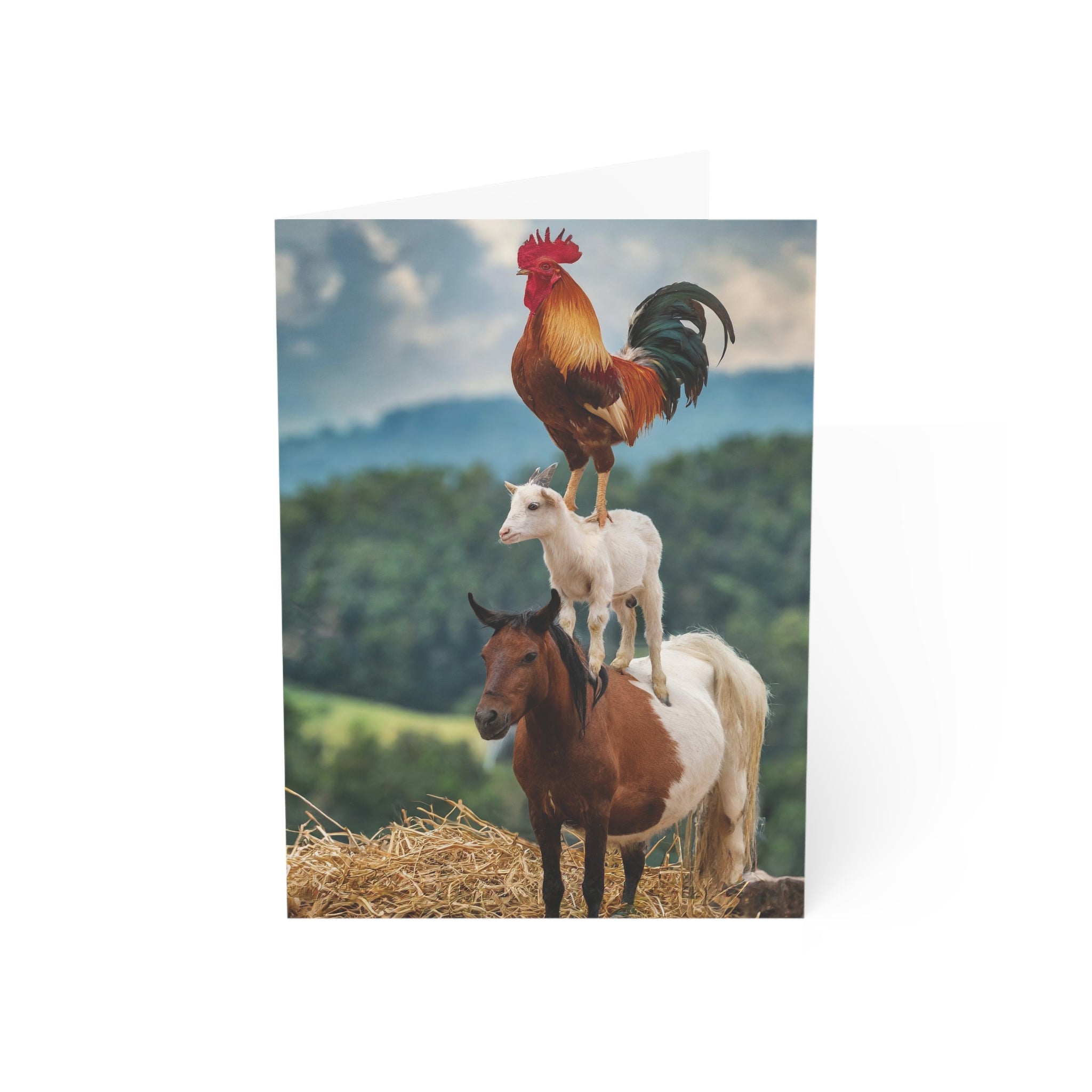 Greeting Card: Funny Rooster Goat Horse Design