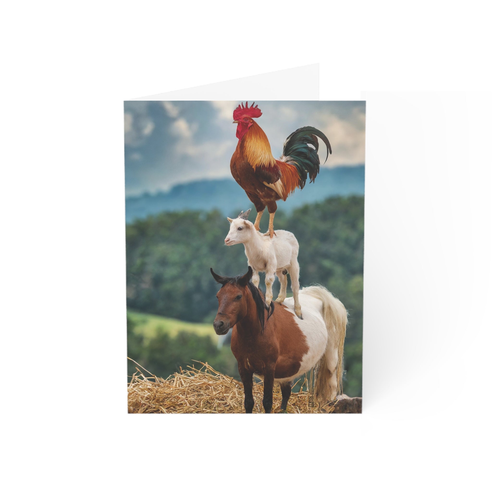 Greeting Card: Funny Rooster Goat Horse Design