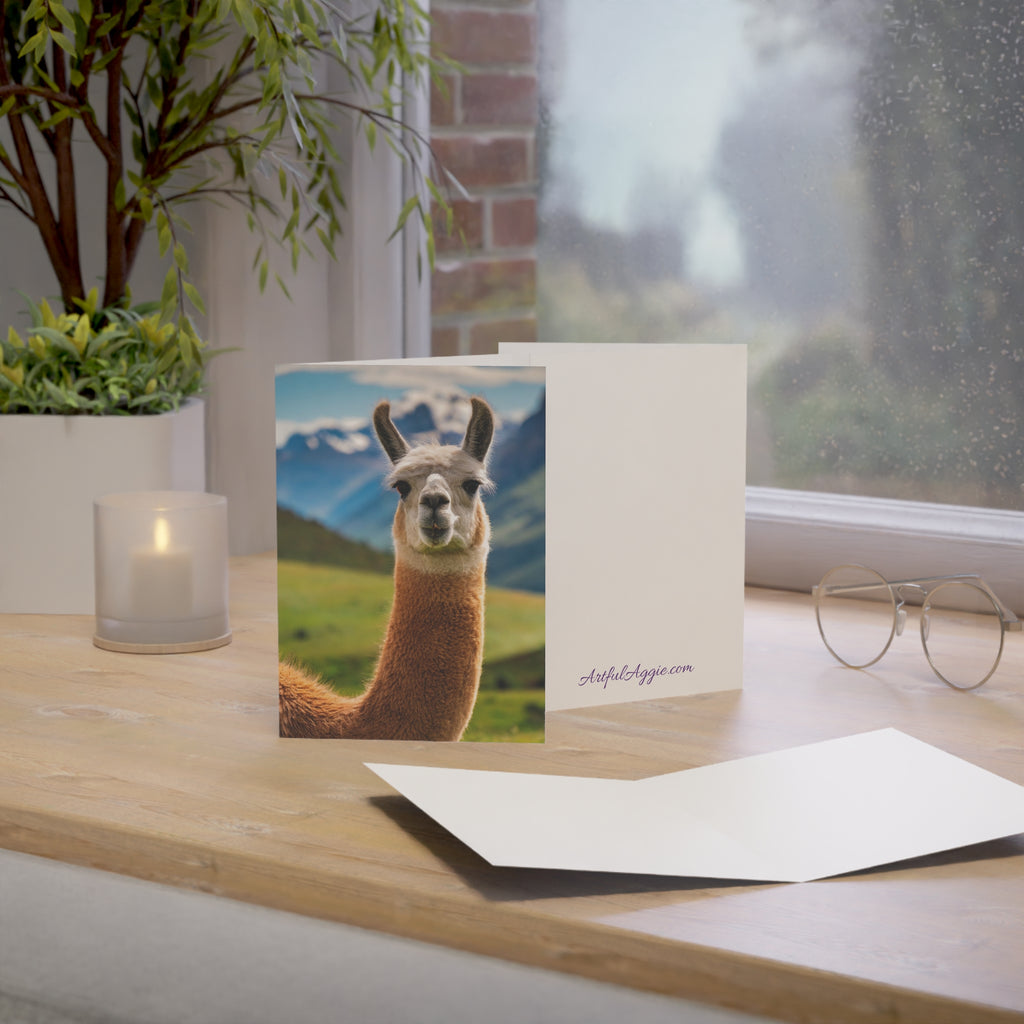 Llama No Drama Blank Greeting Card | Funny Animal Card | (3.5x4.9 or 5x7)