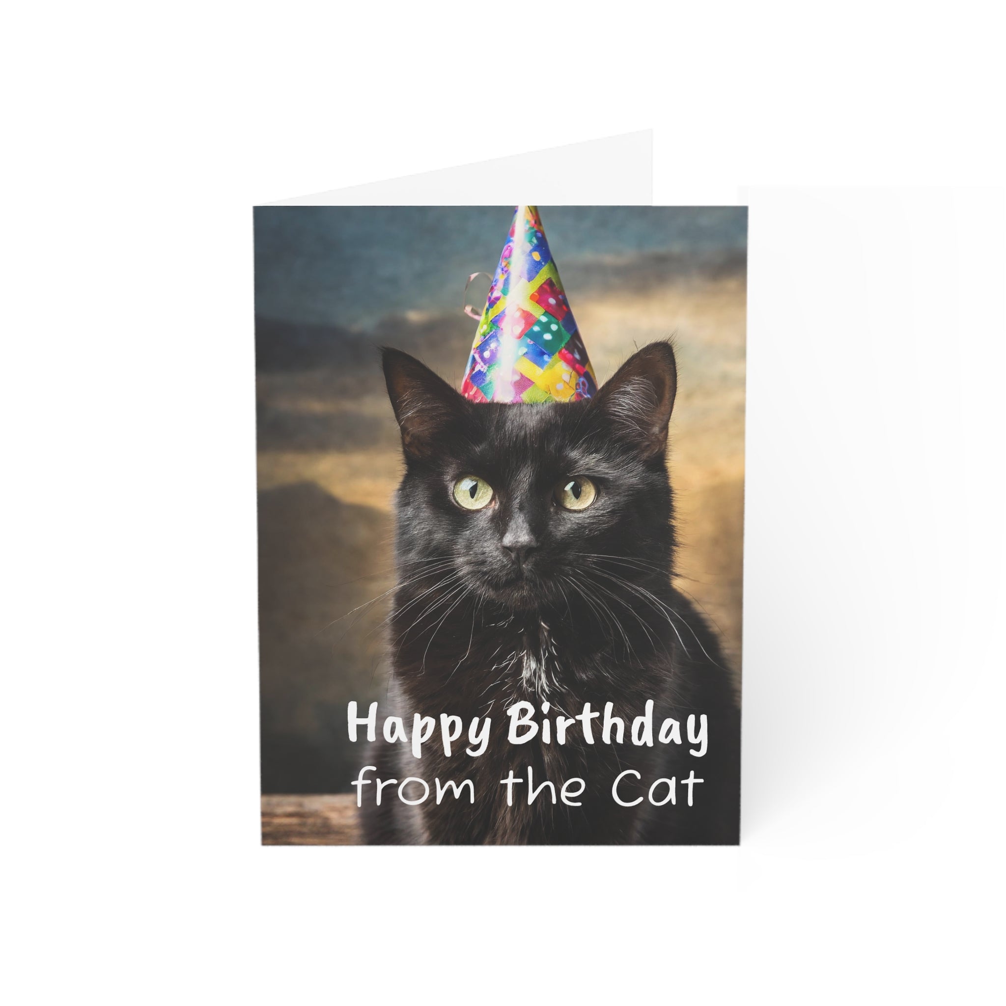Greeting Card - Funny Happy Birthday Card from the Cat