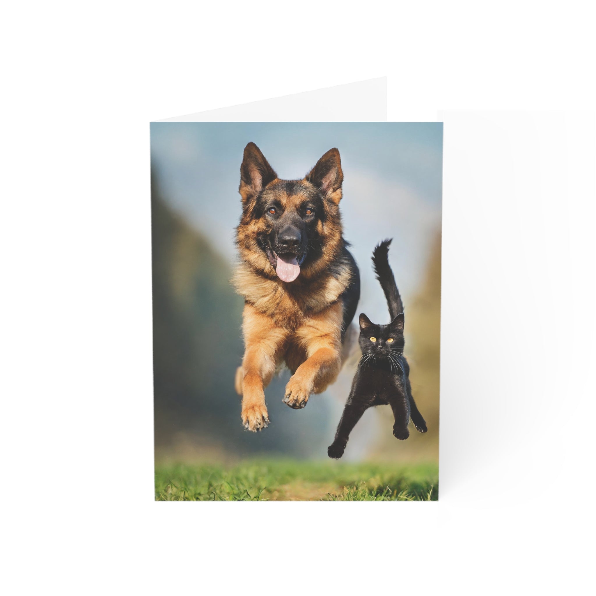 Greeting Card - German Shepherd and Black Cat Flying through the Air