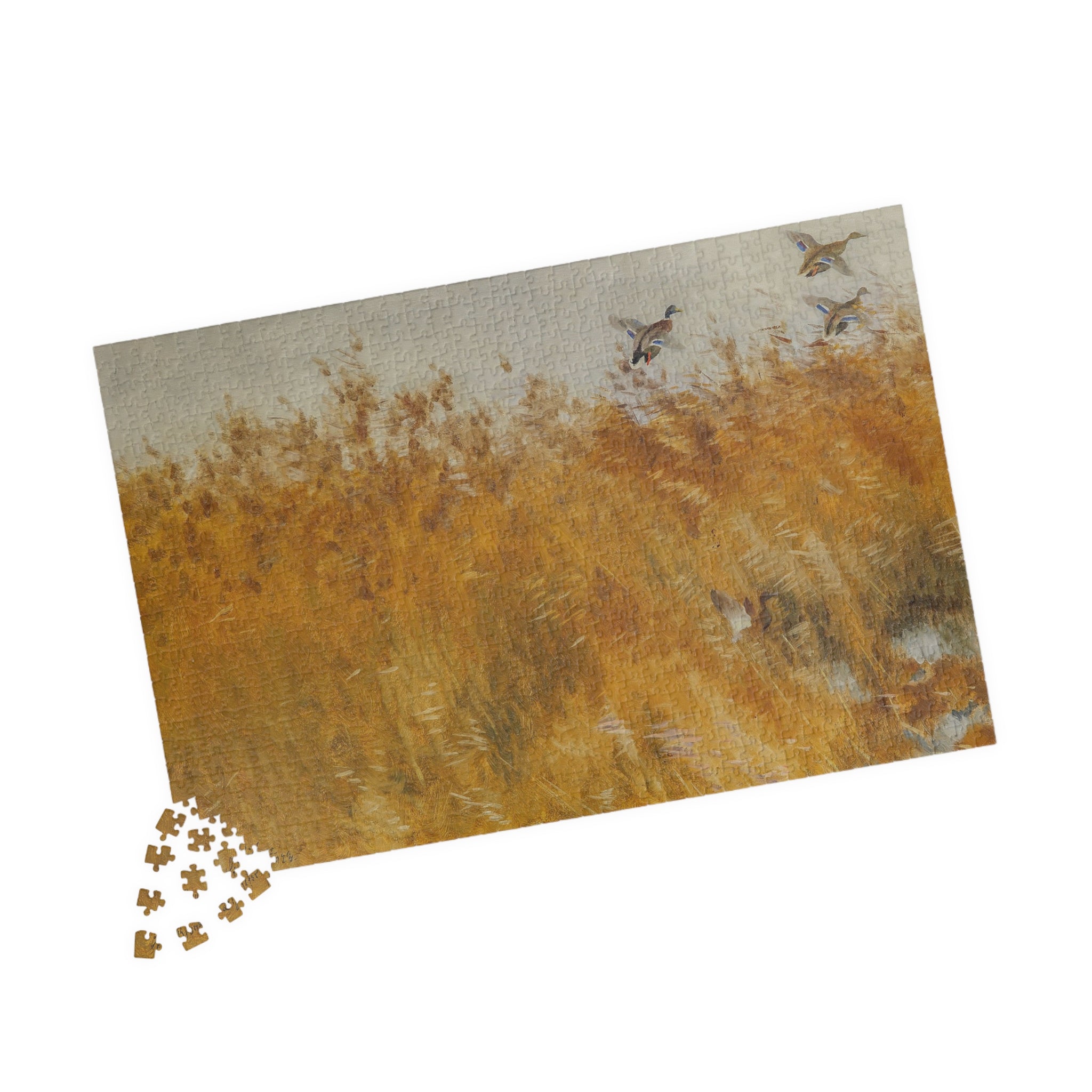 Jigsaw Puzzle - Mallard Ducks in the Field