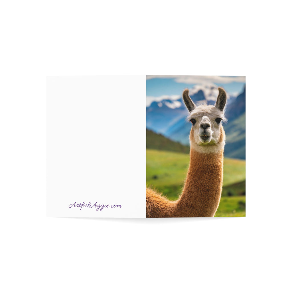 Llama No Drama Blank Greeting Card | Funny Animal Card | (3.5x4.9 or 5x7)