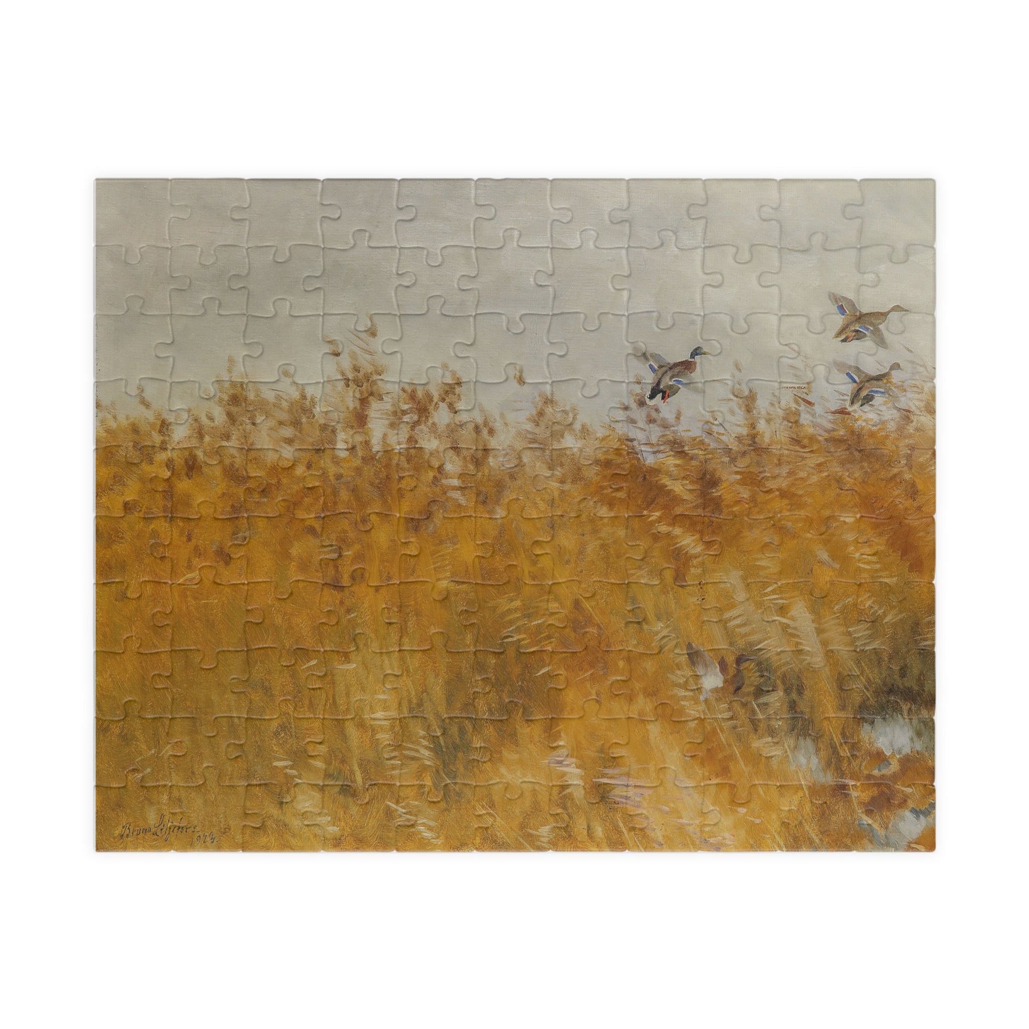 Jigsaw Puzzle - Mallard Ducks in the Field