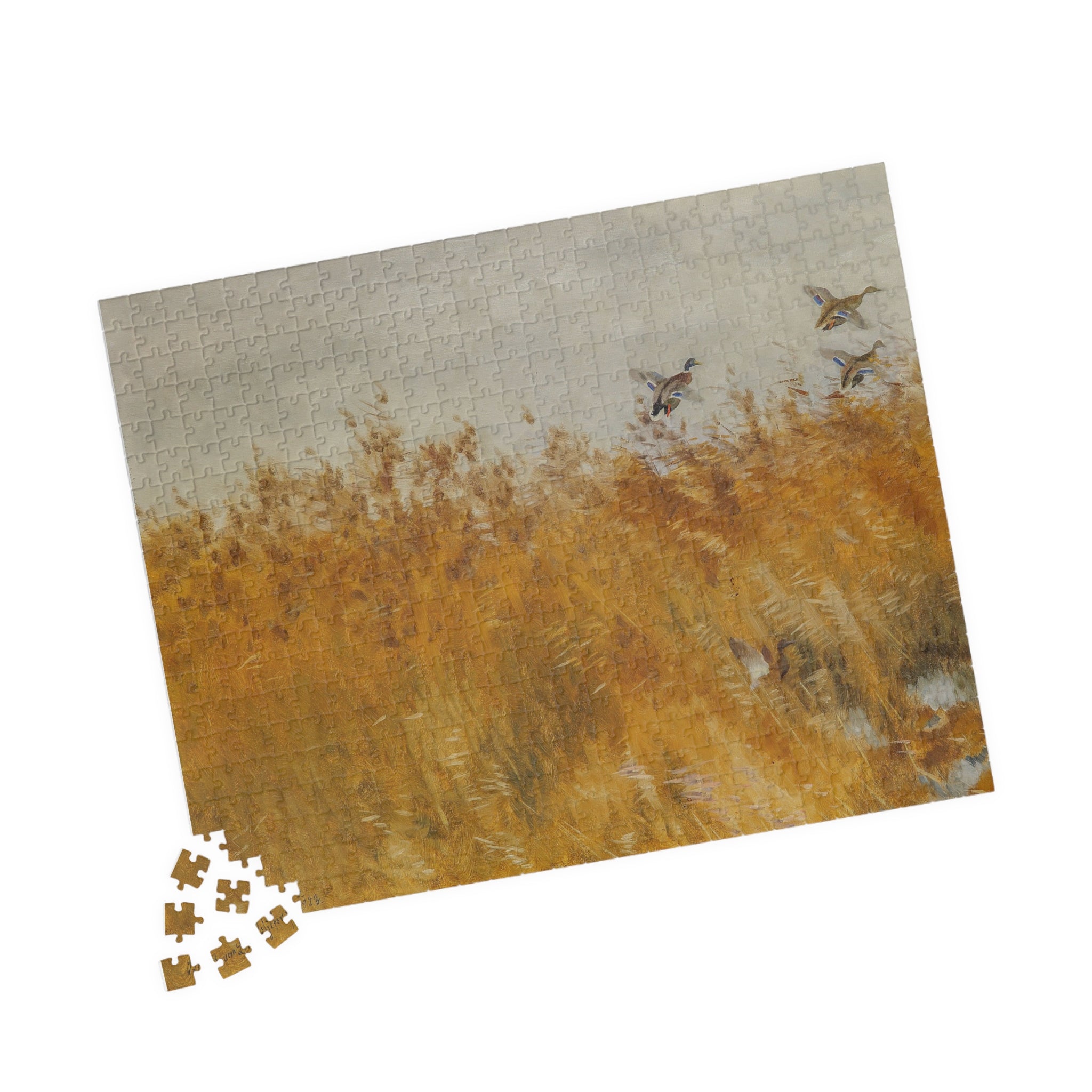 Jigsaw Puzzle - Mallard Ducks in the Field