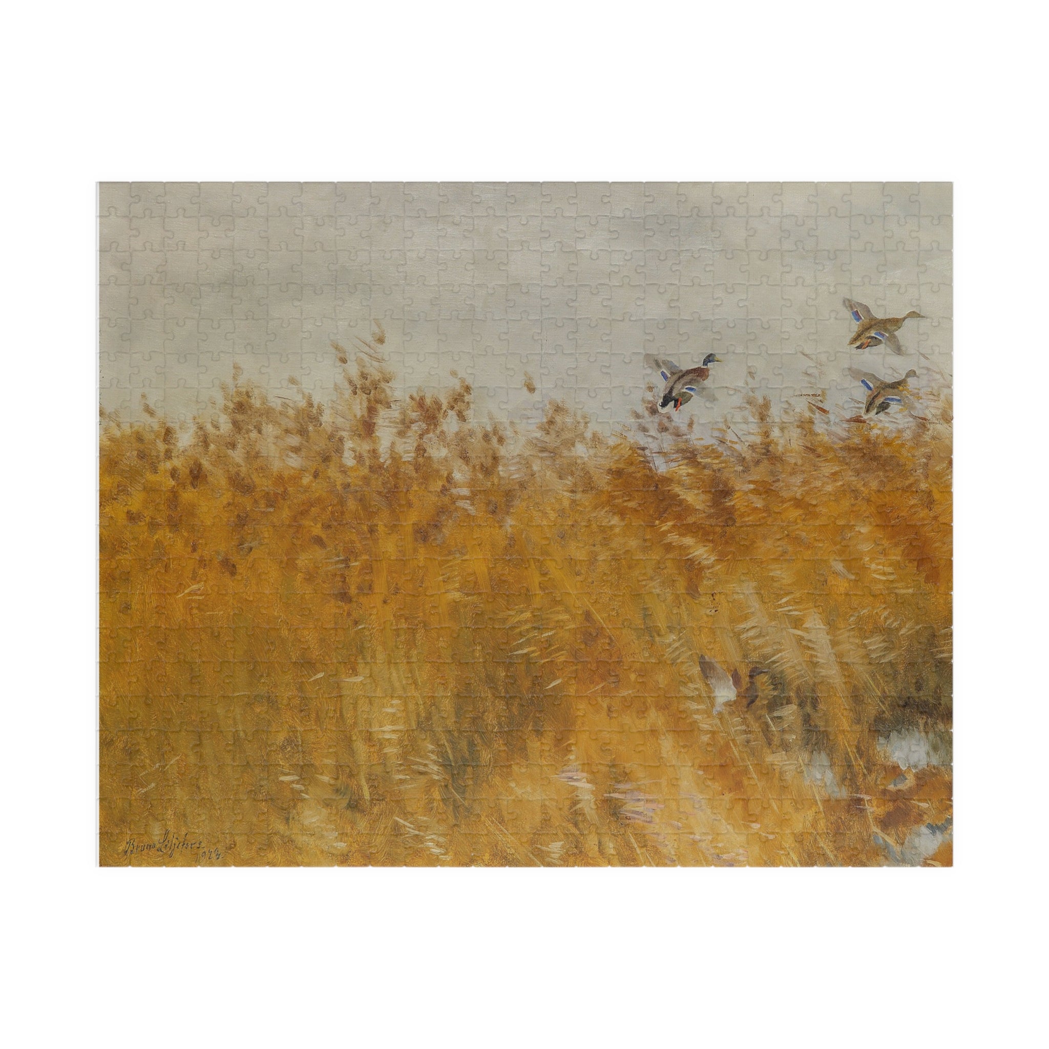 Jigsaw Puzzle - Mallard Ducks in the Field