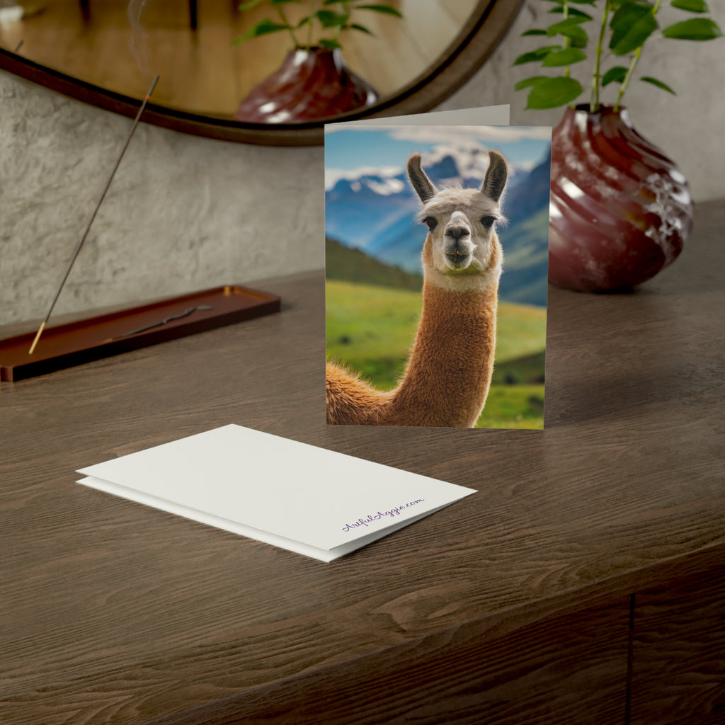Llama No Drama Blank Greeting Card | Funny Animal Card | (3.5x4.9 or 5x7)