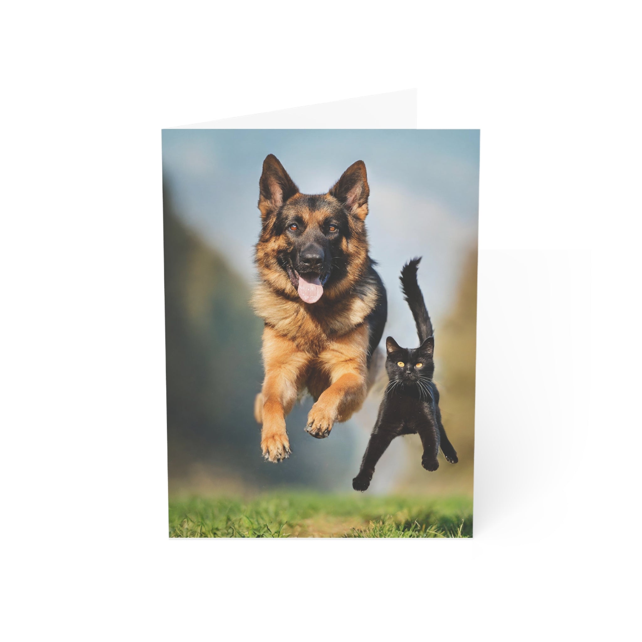Greeting Card - German Shepherd and Black Cat Flying through the Air