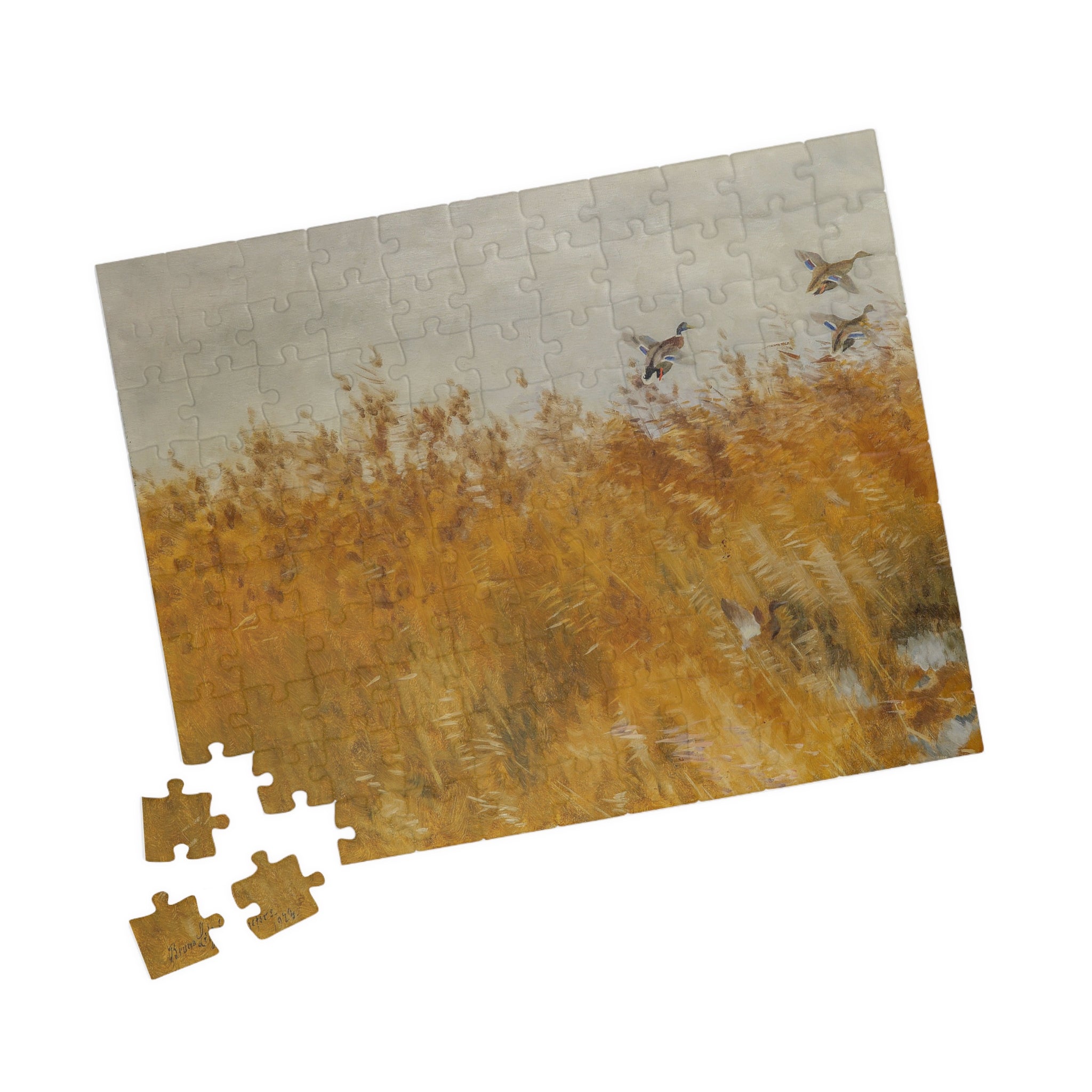 Jigsaw Puzzle - Mallard Ducks in the Field