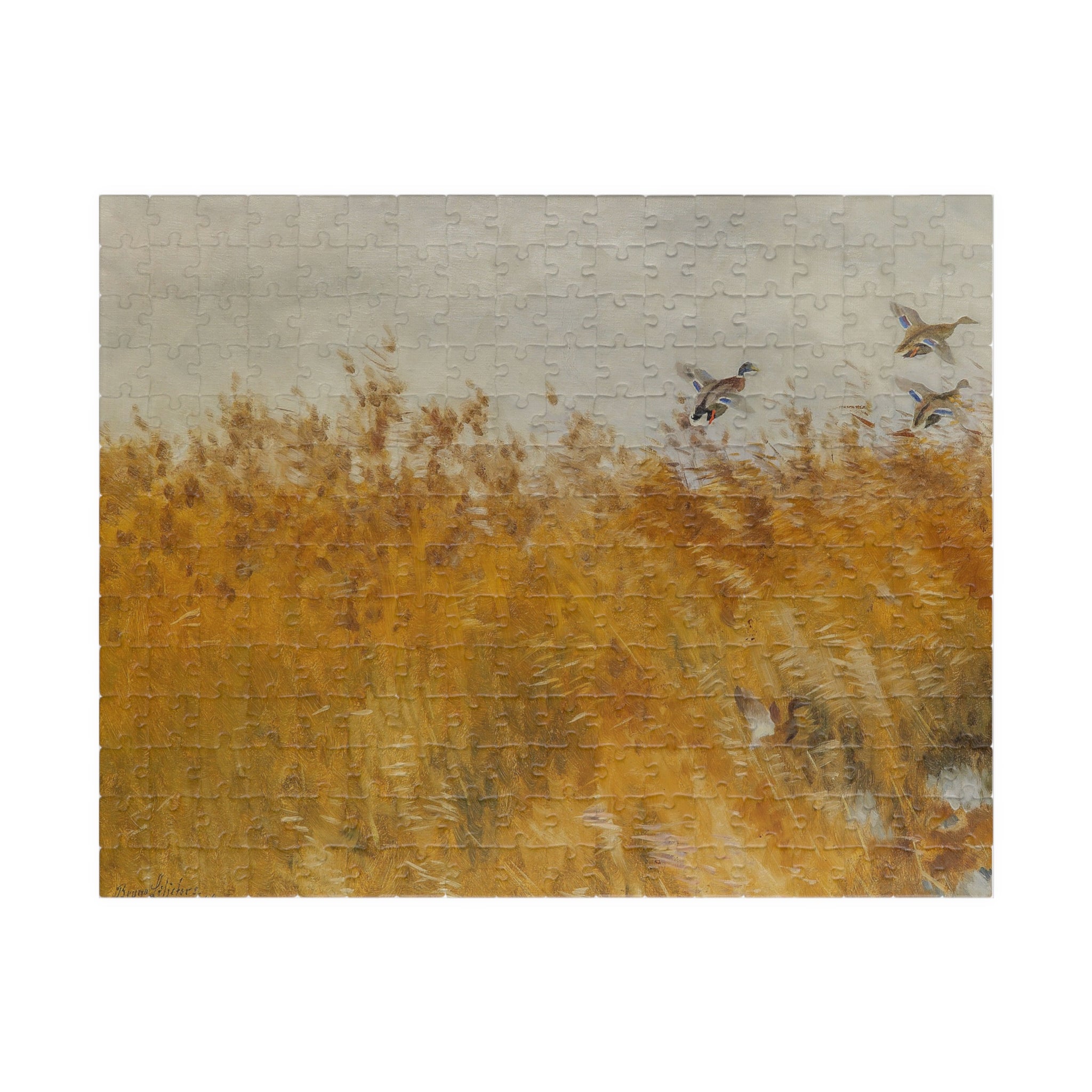 Jigsaw Puzzle - Mallard Ducks in the Field