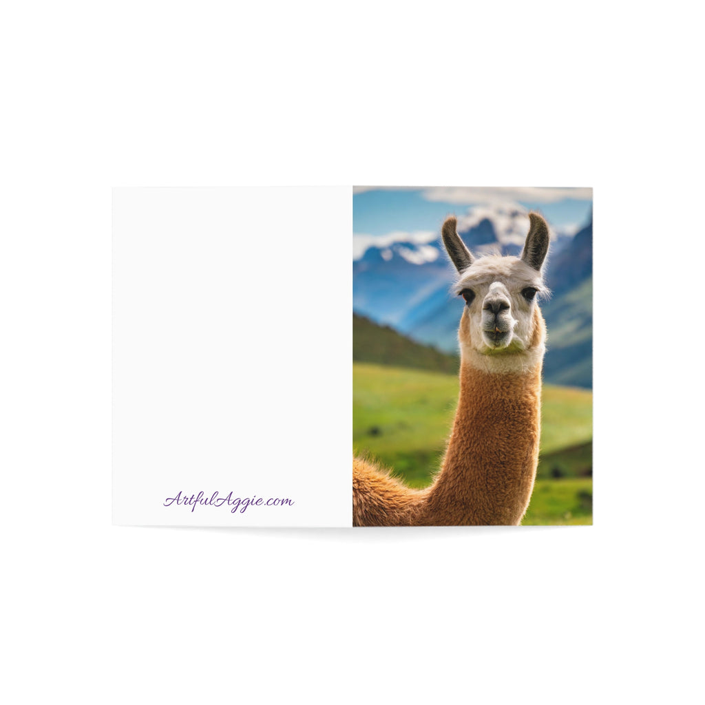 Llama No Drama Blank Greeting Card | Funny Animal Card | (3.5x4.9 or 5x7)