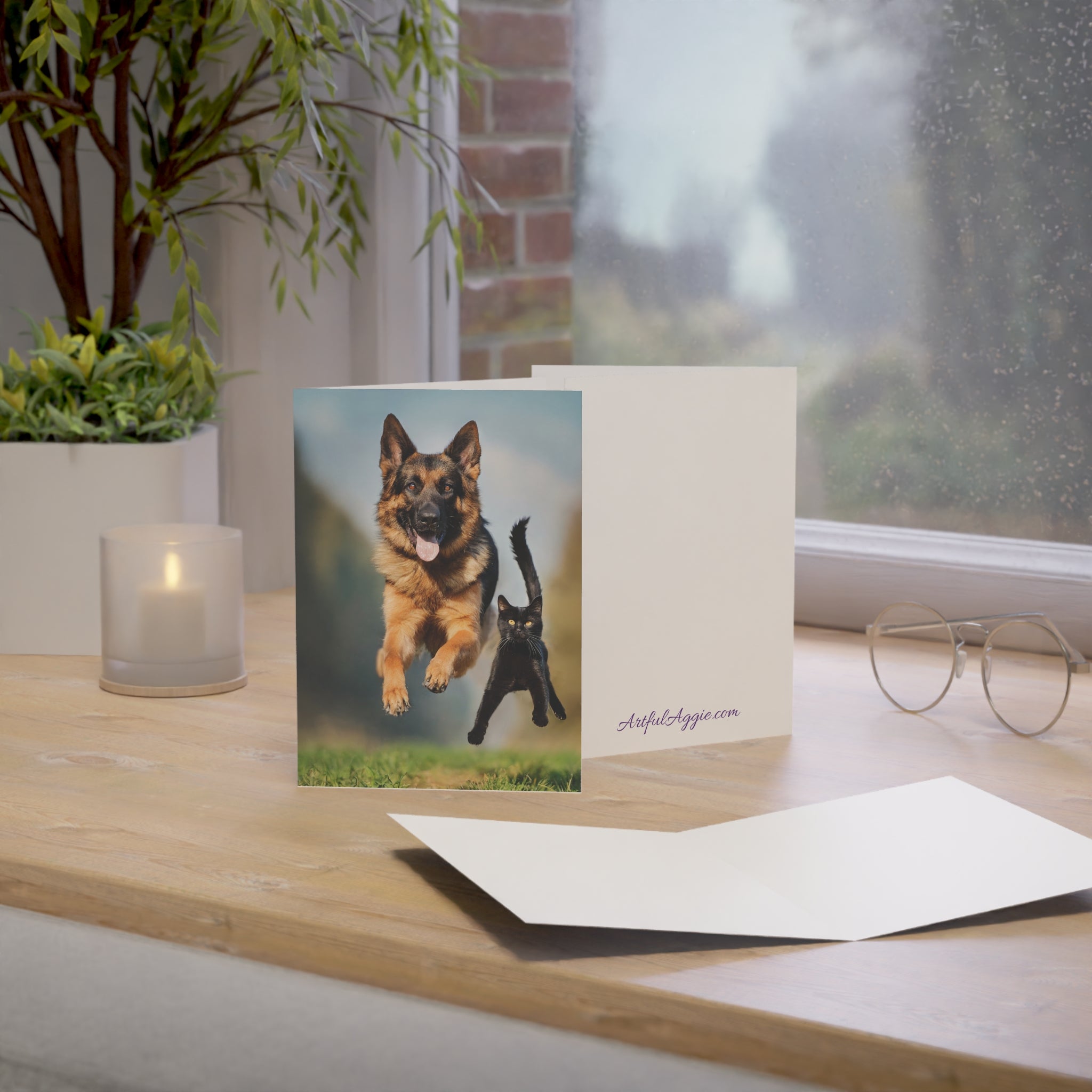 Greeting Card - German Shepherd and Black Cat Flying through the Air