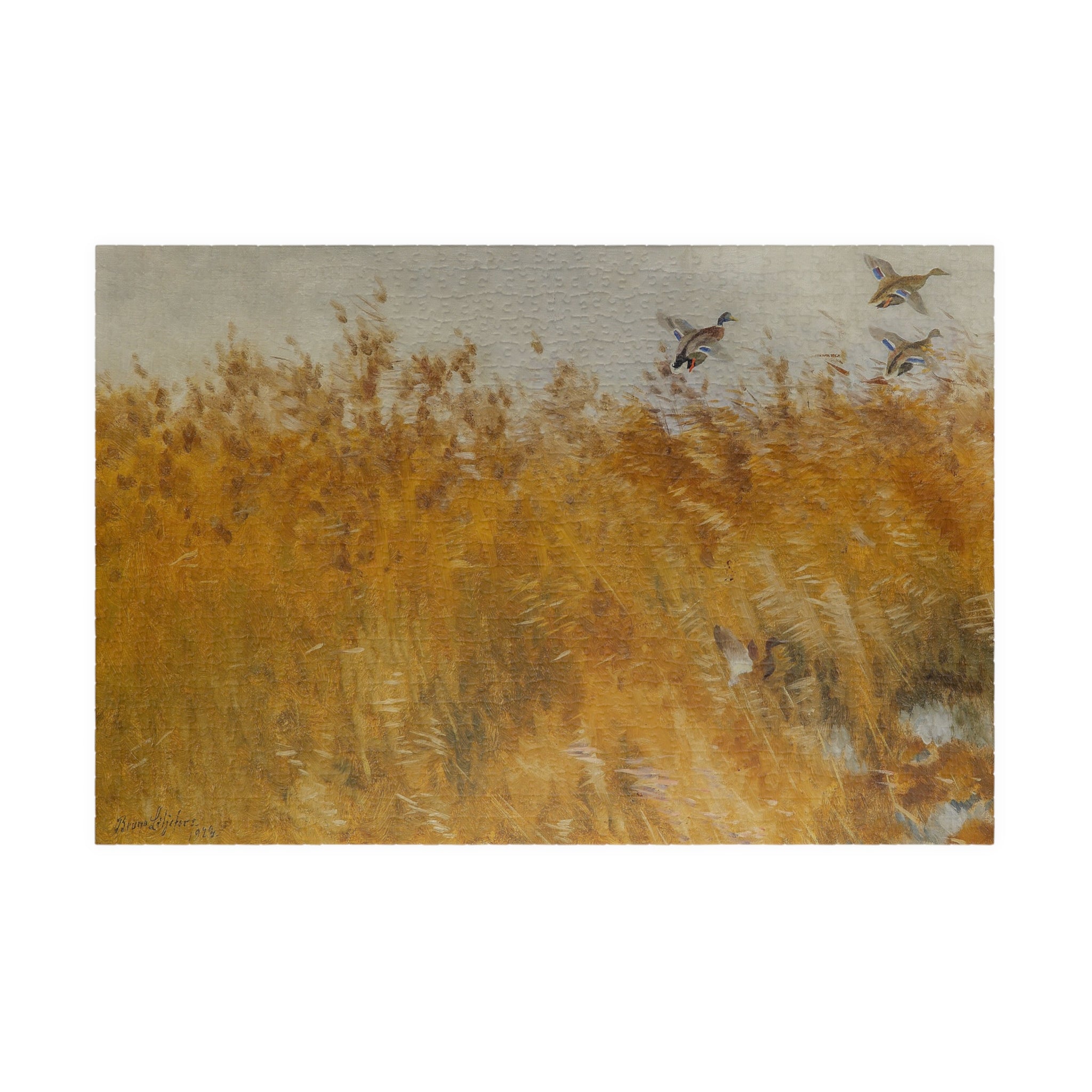 Jigsaw Puzzle - Mallard Ducks in the Field