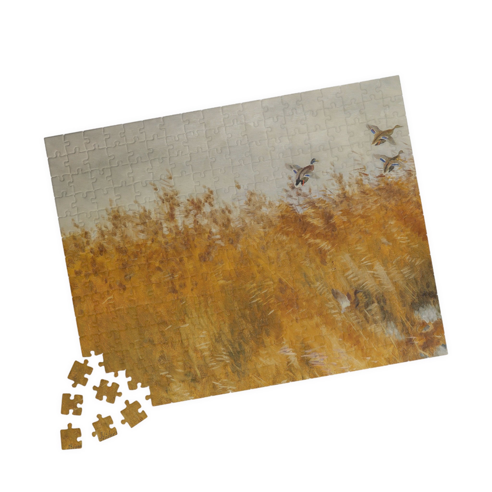 Jigsaw Puzzle - Mallard Ducks in the Field
